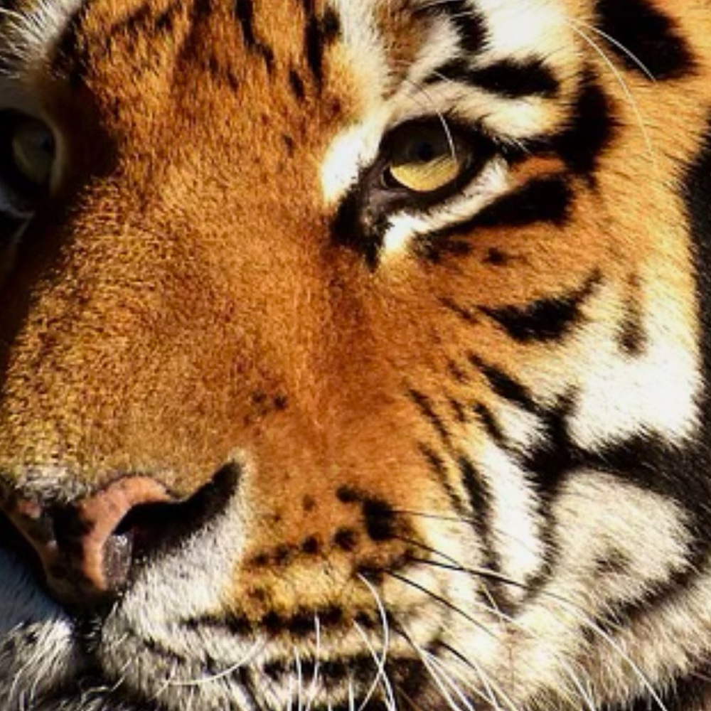 Meet your Posher, Sherry